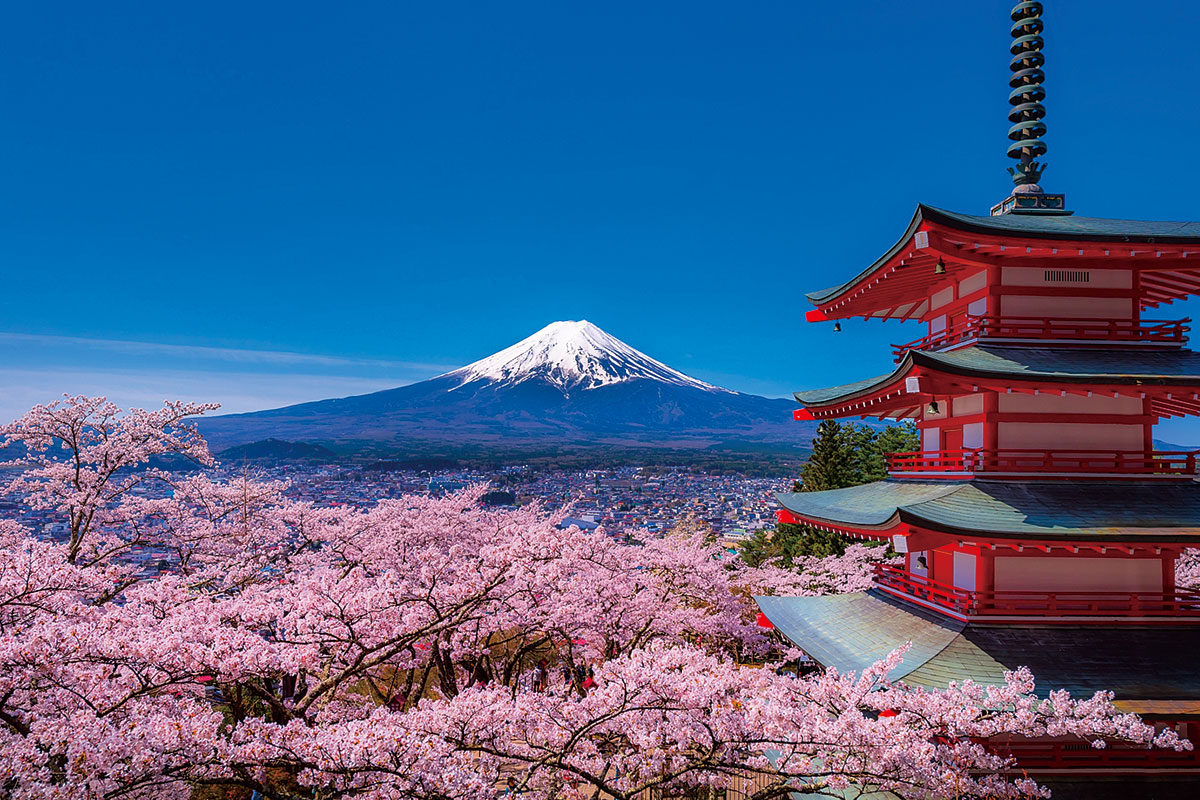 新倉山浅間公園 富士と桜と五重塔